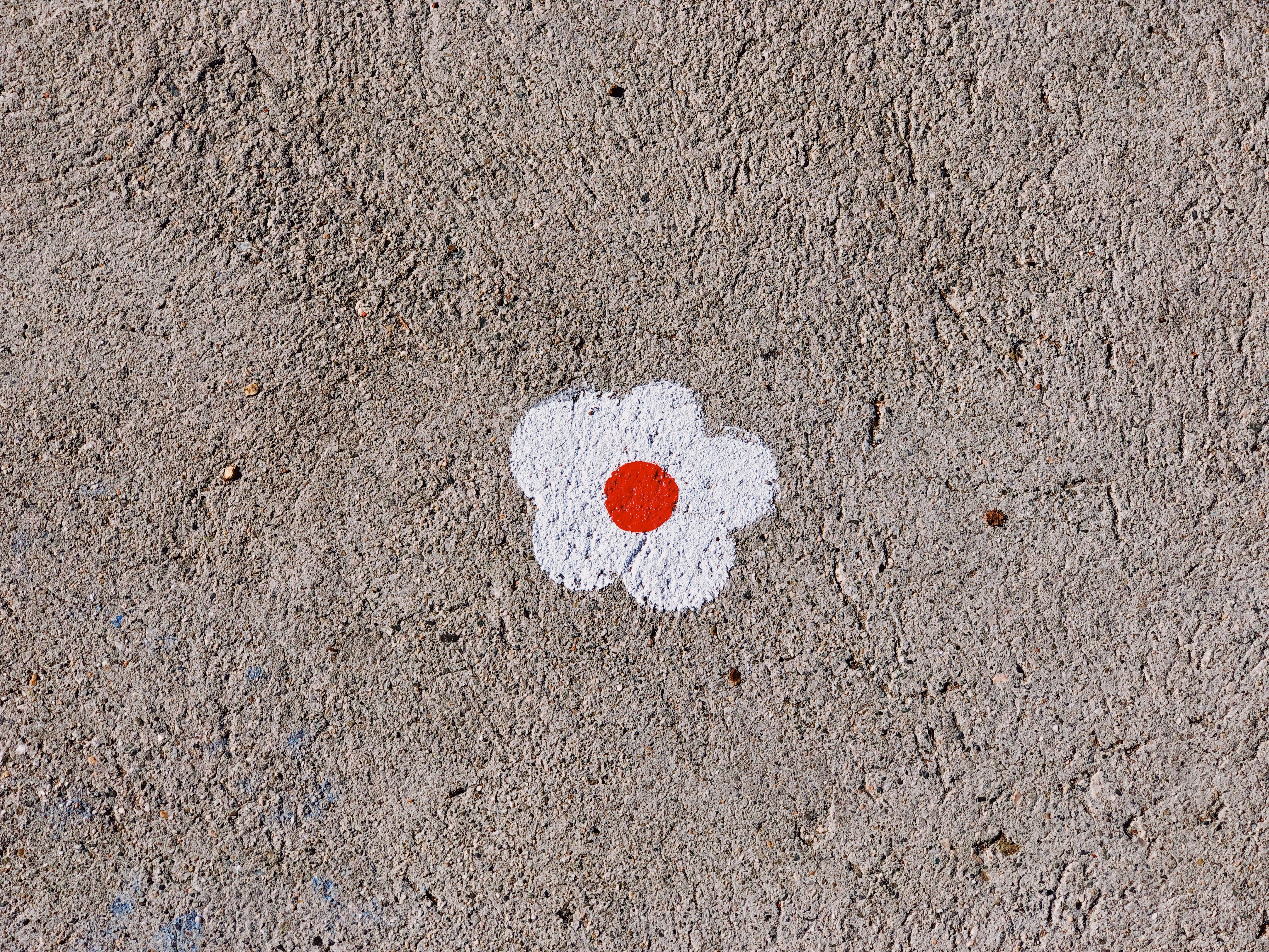 red and white flower painting